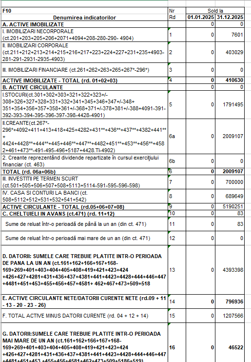 Captura Bilant Excel din Analizor Balanta